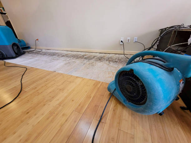 Professional Burst Pipe Water Damage technician working in Rodeo, CA